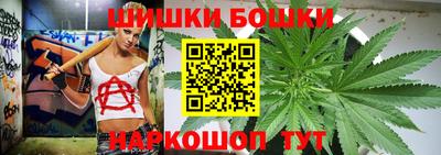 прущие крисы Камышлов