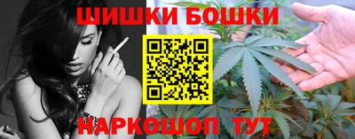 прущие крисы Камышлов