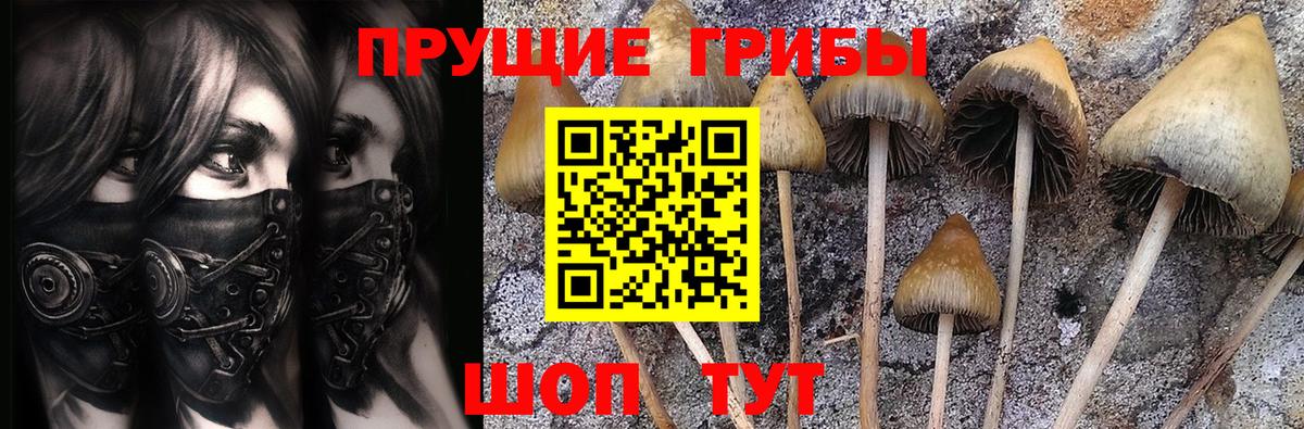 Псилоцибиновые грибы GOLDEN TEACHER Кудымкар