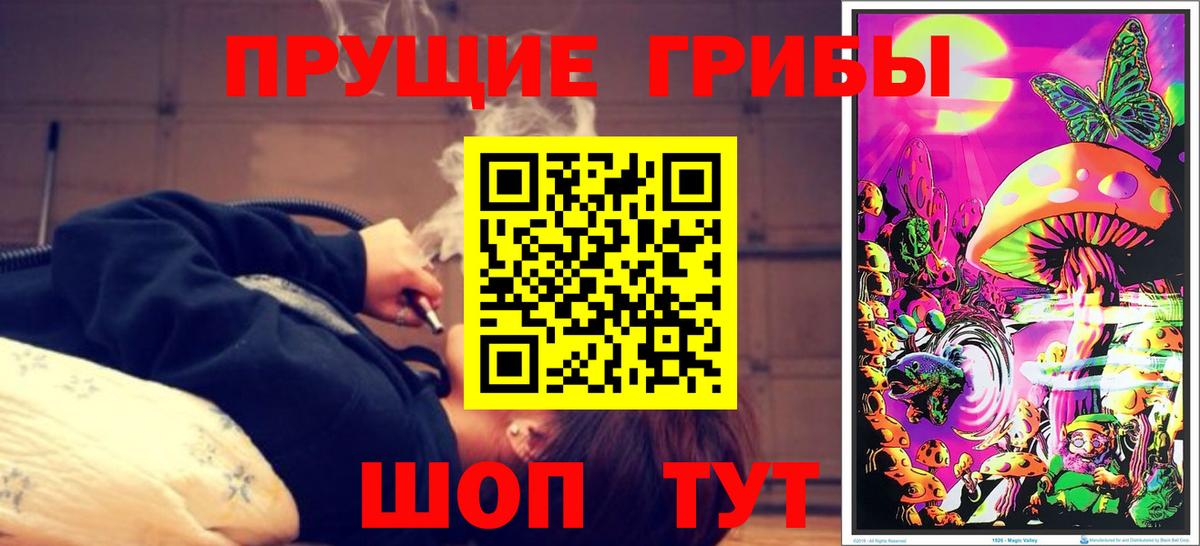 Псилоцибиновые грибы мухоморы  Псилоцибиновые грибы Magic Shrooms  Вход с VPN  Кудымкар 