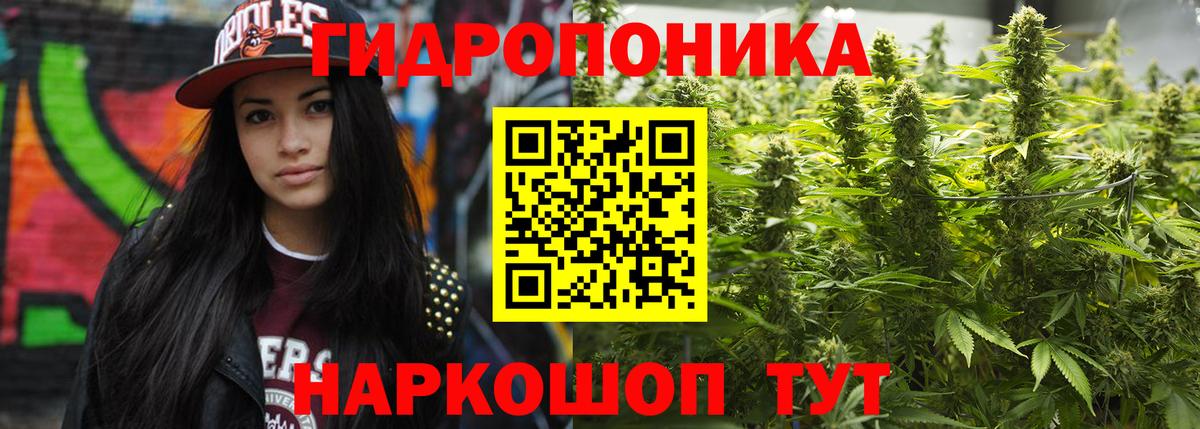Шишки марихуана Ganja  Бошки Шишки план  Вход с VPN  Кудымкар  Марихуана гибрид  Бошки марихуана планчик 